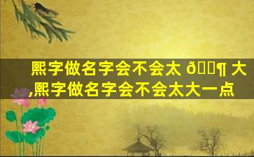 熙字做名字会不会太 🐶 大,熙字做名字会不会太大一点